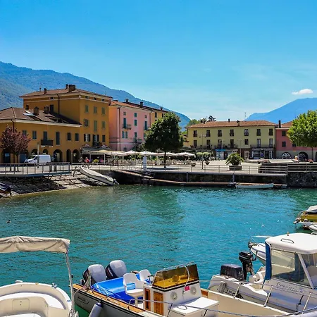 Rose Rossa Larissa Garten Eg