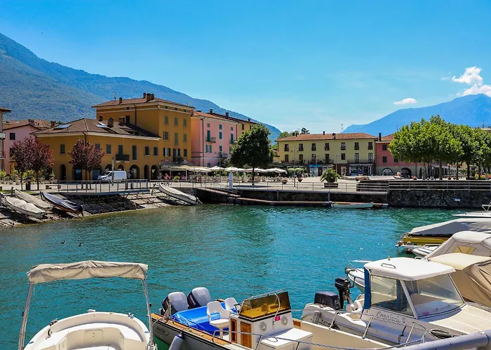 Rose Rossa Larissa Garten Eg