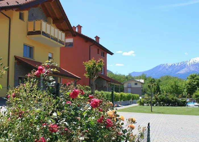 Rose Rossa Larissa Garten Eg * Colico